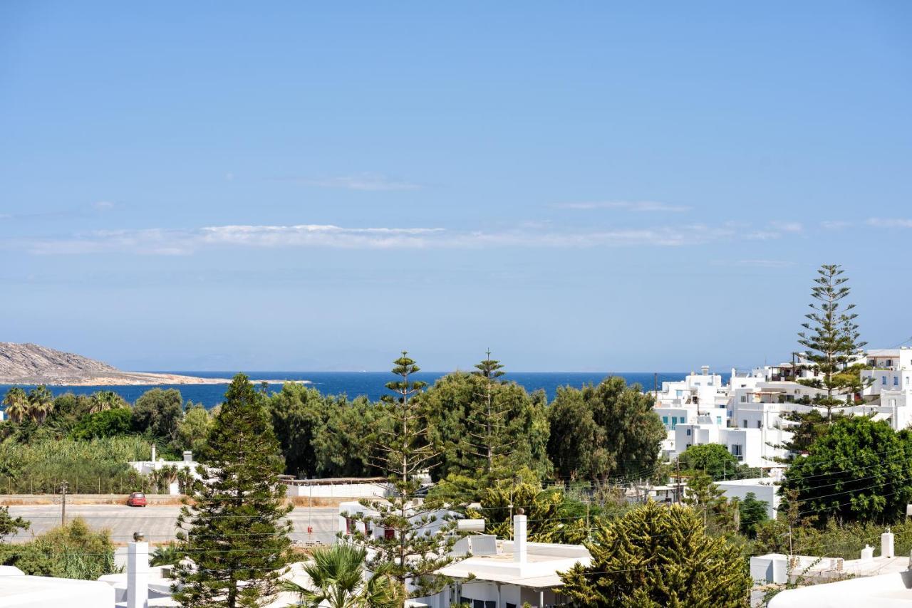Hara'S Villa In Naousa , Paros Extérieur photo