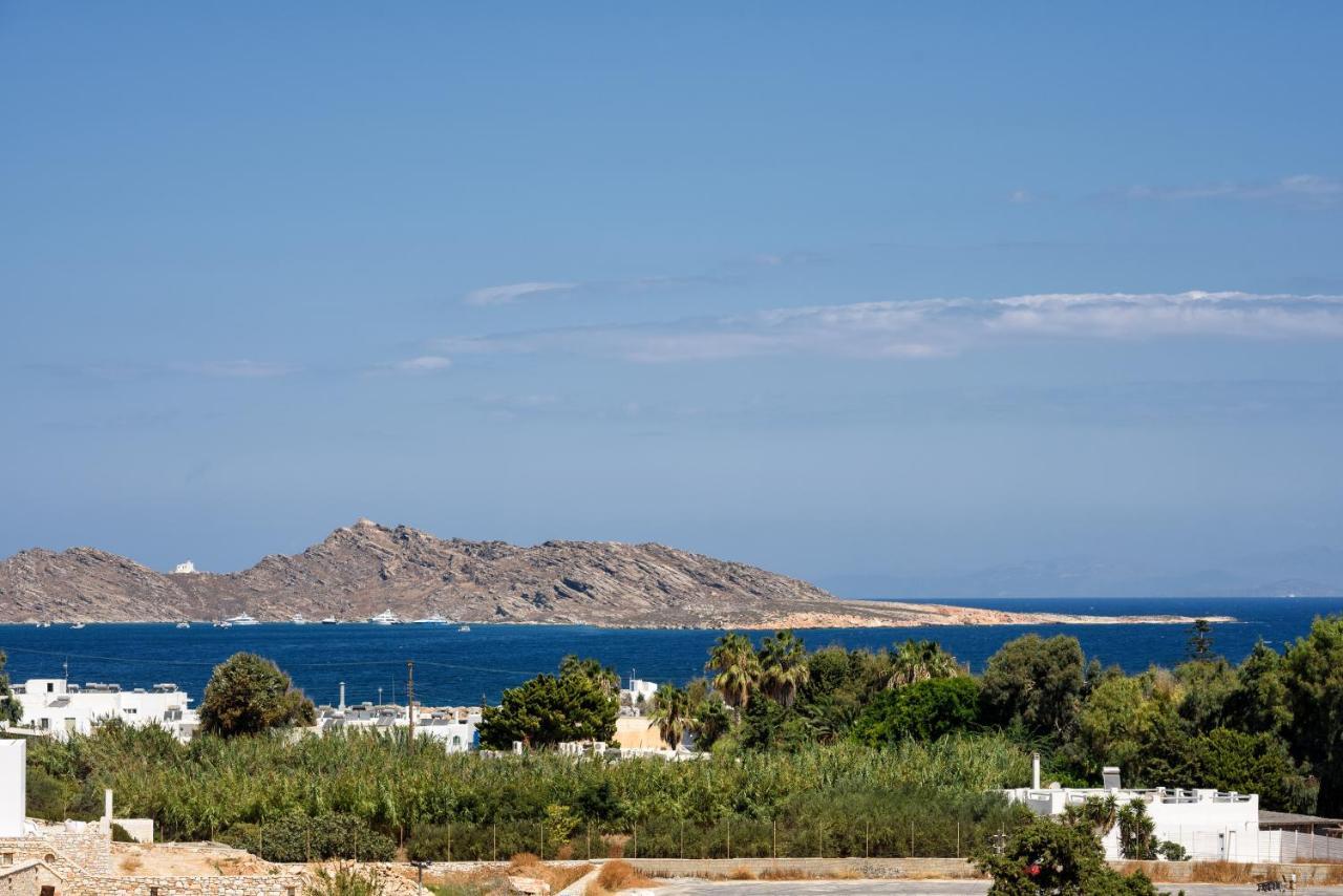 Hara'S Villa In Naousa , Paros Extérieur photo